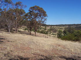 Onkaparinga River National Park - Accommodation Adelaide 0
