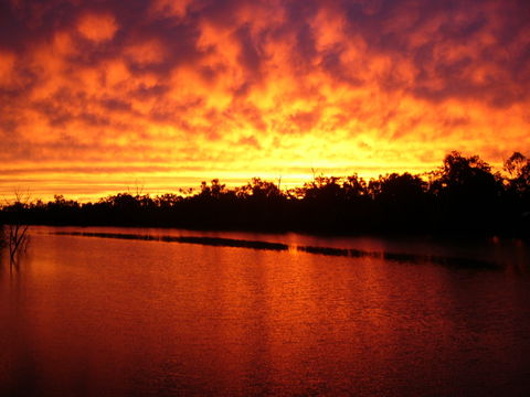 Warrego River Walk - Accommodation Adelaide 0