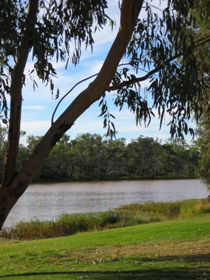 Warrego River Walk - Accommodation Adelaide 2