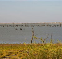 Lake Victoria - Accommodation Adelaide