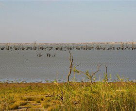 Lake Victoria - Accommodation Adelaide 0
