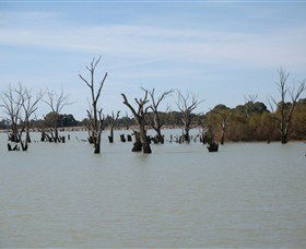 Lake Victoria - Accommodation Adelaide 3