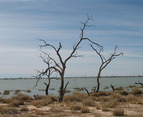Lake Victoria - Accommodation Adelaide 6