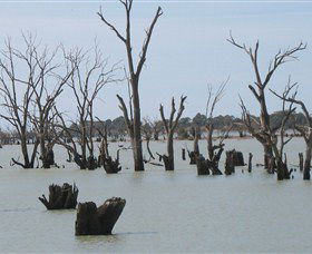 Lake Victoria - Accommodation Adelaide 4