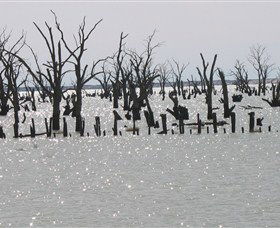 Lake Victoria - Accommodation Adelaide 5