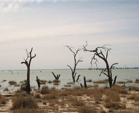 Lake Victoria - Accommodation Adelaide 7