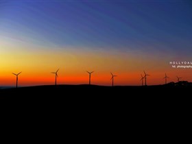 Starfish Hill Windfarm - Accommodation Adelaide 0