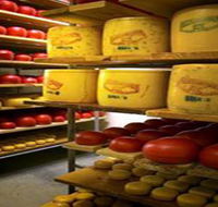 Alexandrina Cheese Company - Accommodation Adelaide