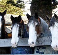 Victor Harbor Horse Drawn Tramway - Accommodation Adelaide