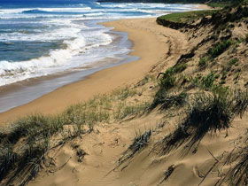 Waitpinga SA Accommodation Adelaide
