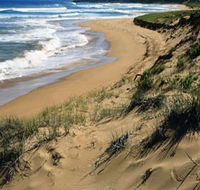 Newland Head Conservation Park - Accommodation Adelaide