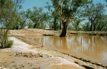 Charleville - Ward River Fishing Spot - Accommodation Adelaide 2