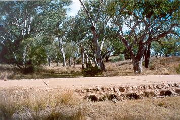 Charleville - Ward River Fishing Spot - Accommodation Adelaide 1