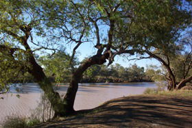 Charleville - Bakers Bend Warrego River Fishing Spot - Accommodation Adelaide 1