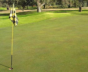 Wentworth Sporting Complex - Accommodation Adelaide 0