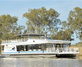 Wentworth River Cruises - Accommodation Adelaide 6