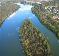 Sturt's Tree - Accommodation Adelaide