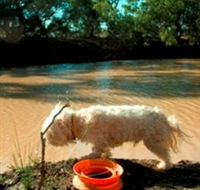 Charleville - 27 Mile Warrego River Fishing Spot - Accommodation Adelaide