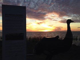 Meningie's Pelican Path - Yunti Ngopun Ngami - Accommodation Adelaide 2