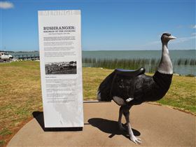Birdman Of The Coorong - Accommodation Adelaide 0