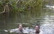 Berry Springs Nature Park - thumb 1