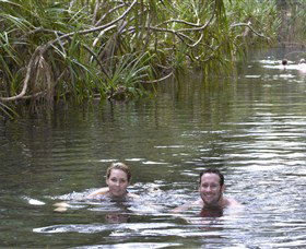 Berry Springs Nature Park - Accommodation Adelaide 1