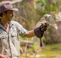 Territory Wildlife Park - Accommodation Adelaide