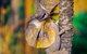 Territory Wildlife Park - thumb 1