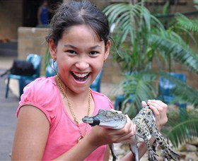 Crocodylus Park - Accommodation Adelaide 1