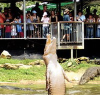 Crocodylus Park - Accommodation Adelaide