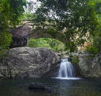 Paluma and Crystal Creek Rainforest - Accommodation Adelaide