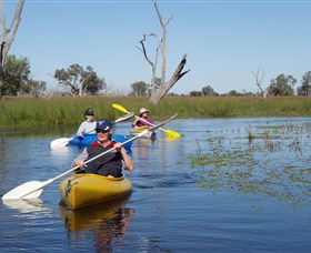 Nymagee NSW Accommodation Adelaide