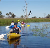 Marsh Meanders - Accommodation Adelaide