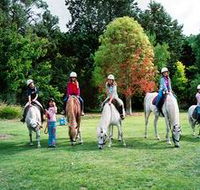 Limestone Coast Horseriding - Accommodation Adelaide