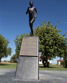 Railway Park Dirranbandi - Accommodation Adelaide 1