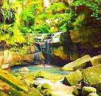 Carnarvon Gorge Carnarvon National Park - Accommodation Adelaide