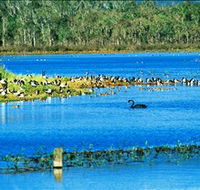 Hasties Swamp National Park - Accommodation Adelaide