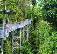 Mamu Tropical Skywalk - Accommodation Adelaide