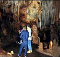 Tantanoola Caves Conservation Park - Accommodation Adelaide