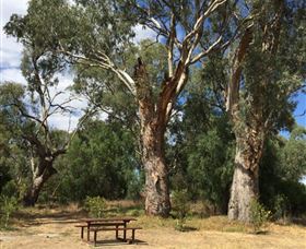 Bob Christensen Reserve - Accommodation Adelaide 2