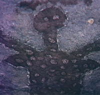 Quinkan Reserves Ancient Rock Art - Accommodation Adelaide