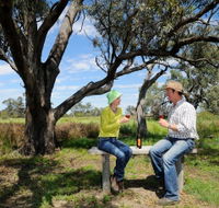 Restdown Wines and Walking Trail - Accommodation Adelaide