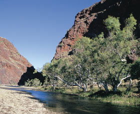 Coppin Gap - Accommodation Adelaide 0