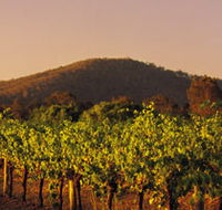 Taltarni Vineyards - Accommodation Adelaide