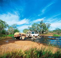 Rinyirru Lakefield National Park CYPAL - Accommodation Adelaide