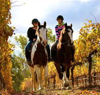 Billabong Ranch - Accommodation Adelaide
