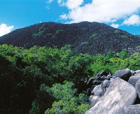 Black Mountain (Kalkajaka) National Park - Accommodation Adelaide 0