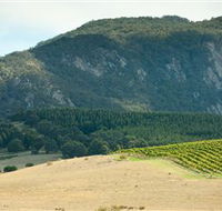 Langi Ghiran State Park - Accommodation Adelaide