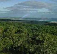 Mount Richmond National Park - Accommodation Adelaide