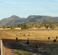 Emu Logic - Accommodation Adelaide